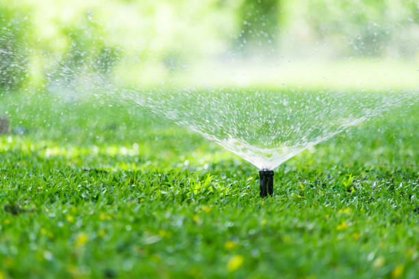 Smart Irrigation
